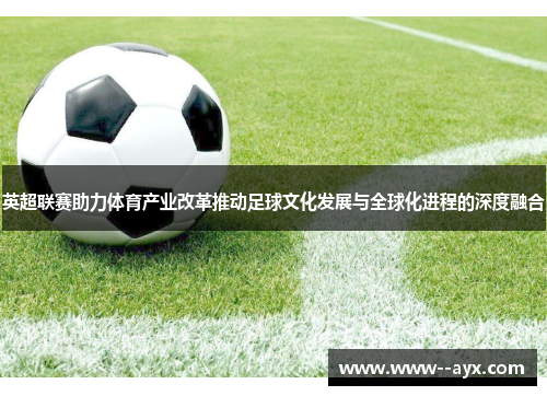 英超联赛助力体育产业改革推动足球文化发展与全球化进程的深度融合