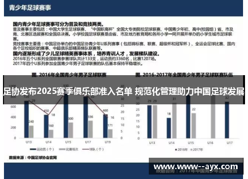 足协发布2025赛季俱乐部准入名单 规范化管理助力中国足球发展