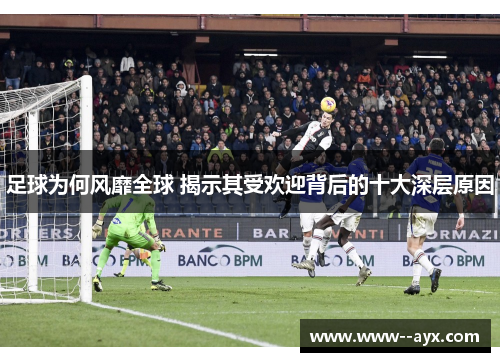 足球为何风靡全球 揭示其受欢迎背后的十大深层原因
