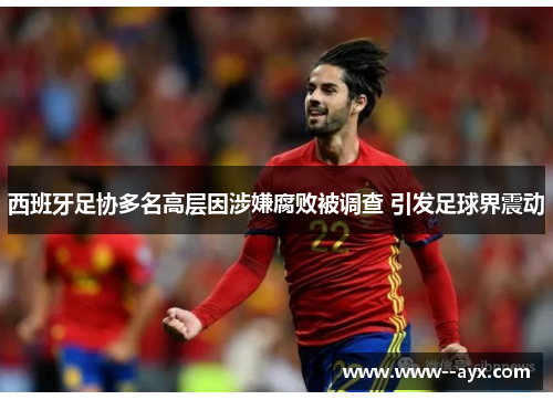 西班牙足协多名高层因涉嫌腐败被调查 引发足球界震动 西班牙足协多名高层因涉嫌腐败被调查 引发足球界震动