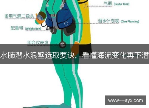 水肺潜水浪壁选取要诀,看懂海流变化再下潜 水肺潜水浪壁选取要诀,看懂海流变化再下潜